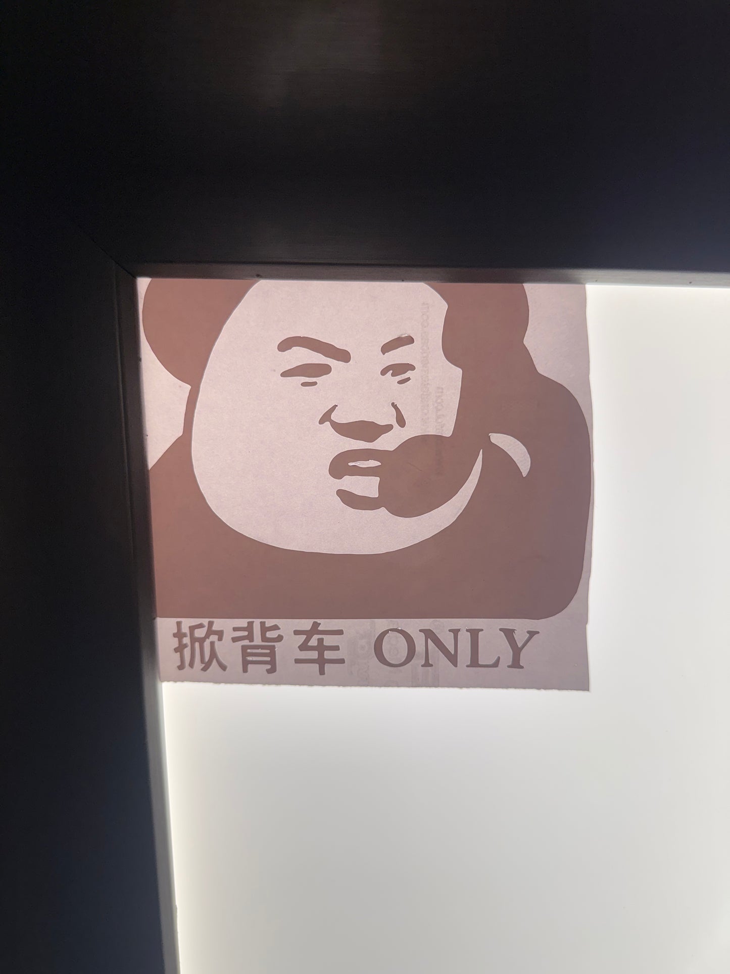 掀背车 ONLY