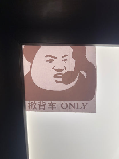 掀背车 ONLY